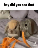 1748719633116.png