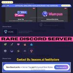 Rare Discord Guild servers by LootifyStore.jpg