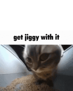 cowbelly.gif