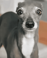 attachment.png