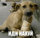 2025-03-04_230619.png