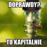 doprawdy.jpg