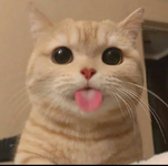 1777330843173.png
