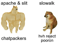1785626491514.webp