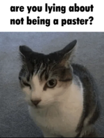 s0gbfo.webp