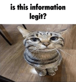 1691894095824.png