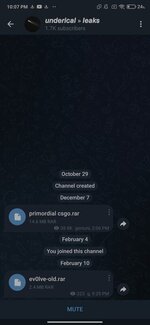 Screenshot_2025-02-10-22-07-48-997_org.telegram.messenger.jpg