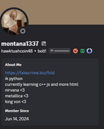 1747672244605.png