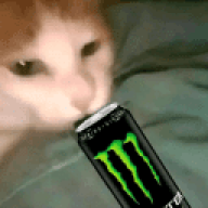 L4urNt1u