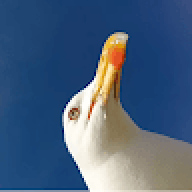 dragangame