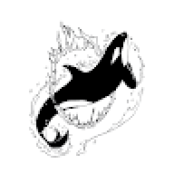 blackorca