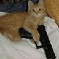 kira2004