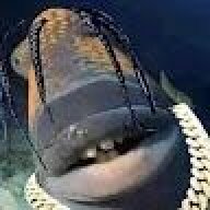 oopx