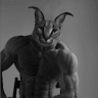 Kotern