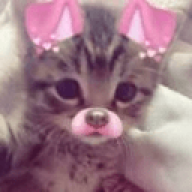 meilou