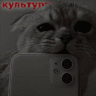 Kulturni1337