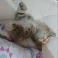 dosole