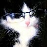 pinguimmm1