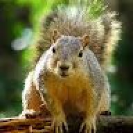 username1245231
