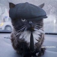bhopman(real)
