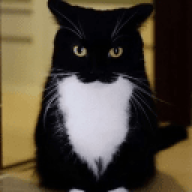 teykito