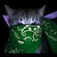 sdcdfgdfgs
