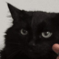 RTXMANE