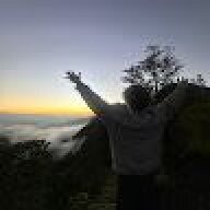 davidtorop10