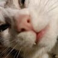 lululepu