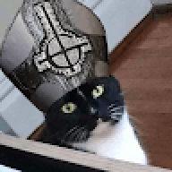fuckingbrazil