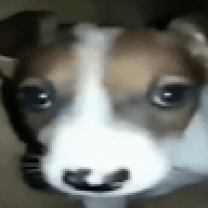 gui