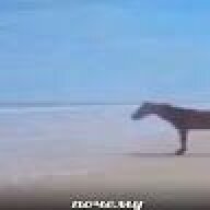 fsdkl;gsdfhdafh