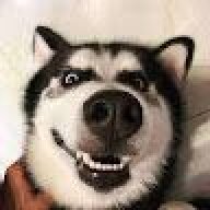 PerishFearVN
