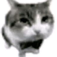 Caticet1352