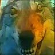 hellomoto