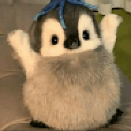 shottythingy
