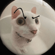 nexuusdsda
