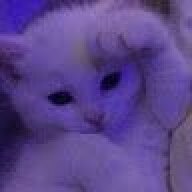 catsoup4466