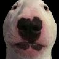 MEJESTICWALRUS1