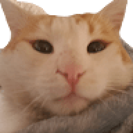 Matto244