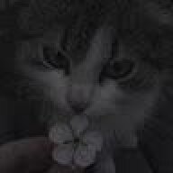 trial_