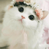 Manesa
