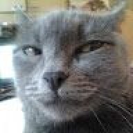 test13515dqd