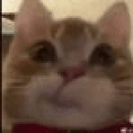 mercuuul