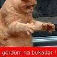 poploescobarv2