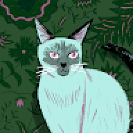 PJ.