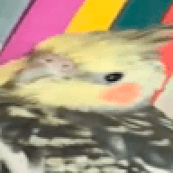 r1ch1e777