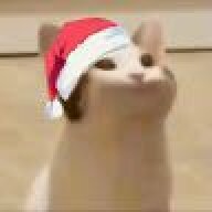 ngalpps