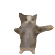 sfwhwh