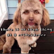 ertresdtgetertr